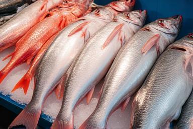 氷の上に並べられた鮮魚